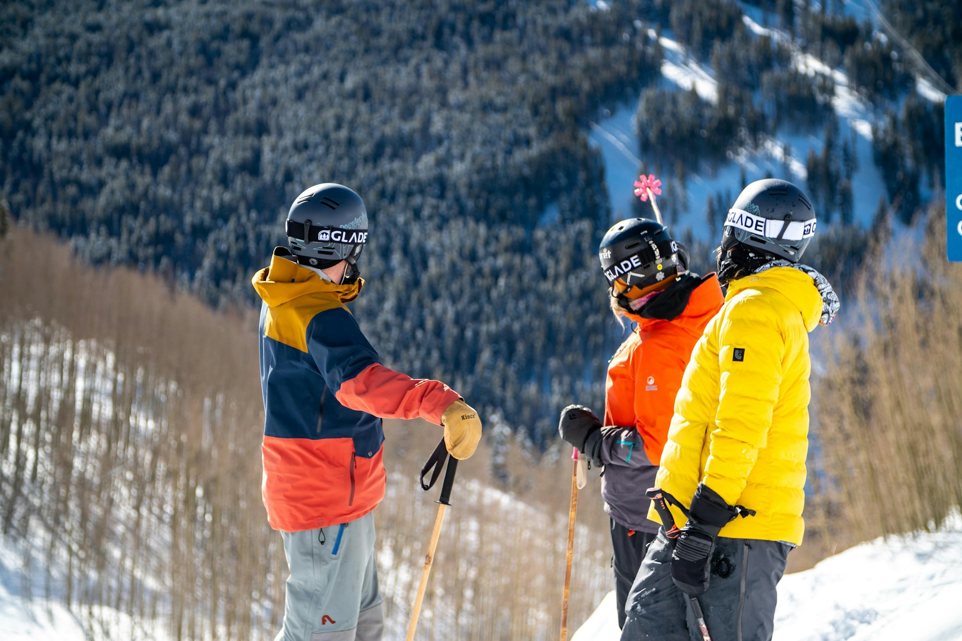 Ski logistics